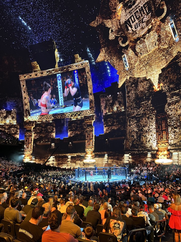 an ufc fight is being shown on a large screen