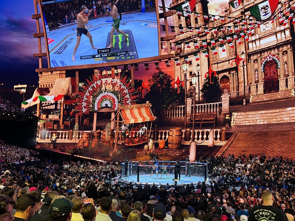 a crowd of people watching a ufc fight on a large screen