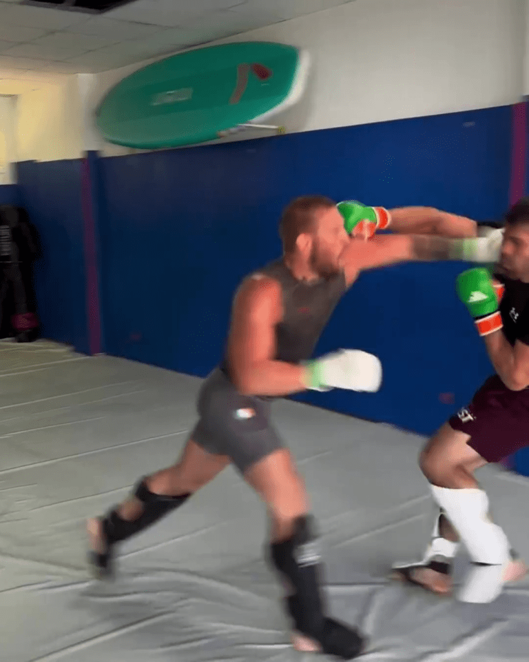 The Notorious has shown White he's ready to return this year with fresh sparring footage