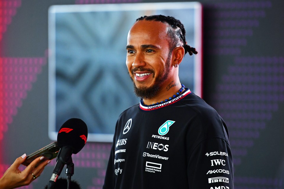 Hamilton's reaction to Verstappen's verdict was clear to see