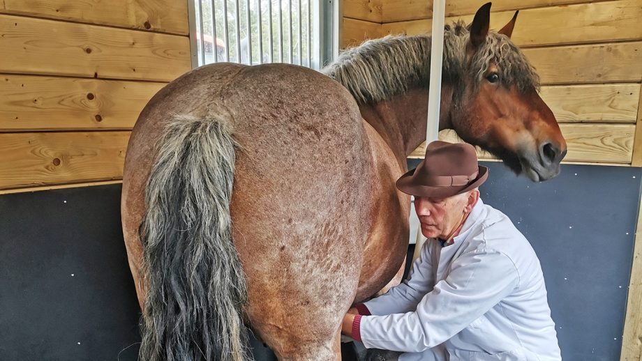 Frank Shellard, who lives on a farm in Combe Hay, near Bath in Somerset, is the only UK seller