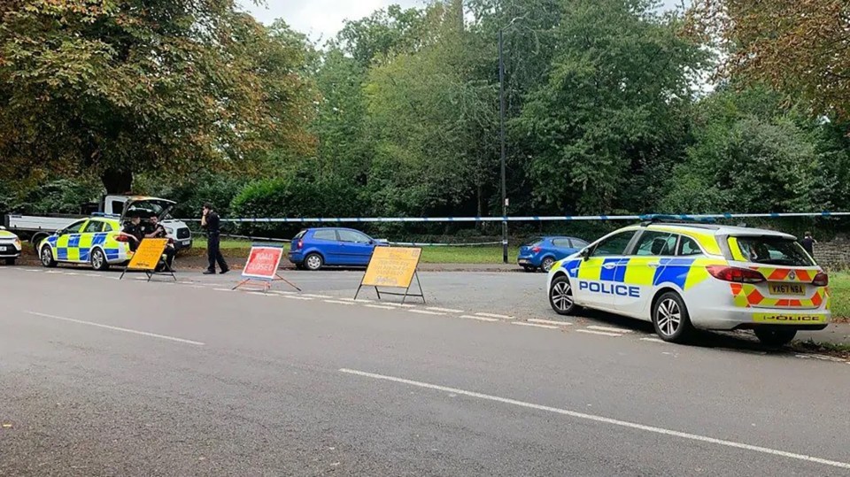 several police cars are parked on the side of the road