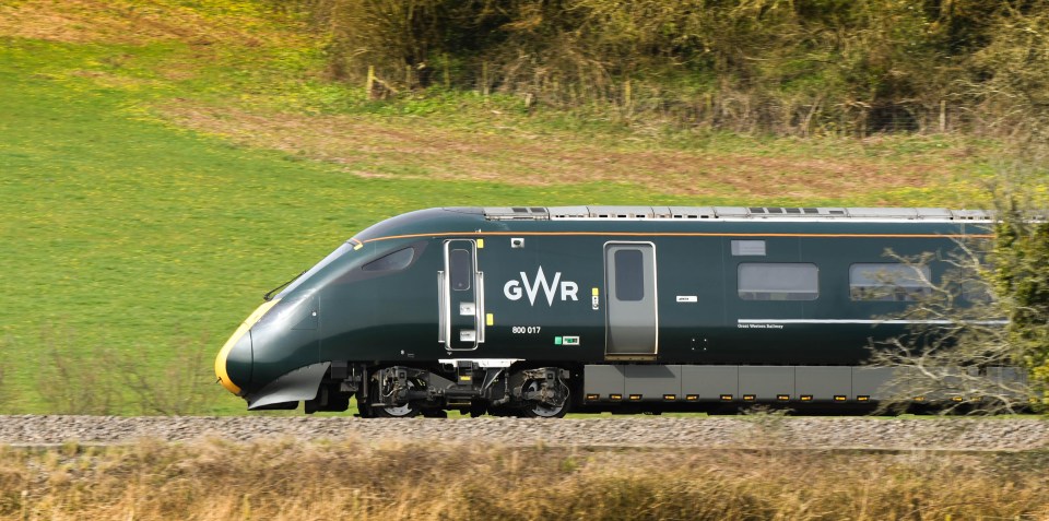 A Class 165 train stopped at Redhill where staff spent 30 minutes using brooms and peanuts to try to get the animals to flee