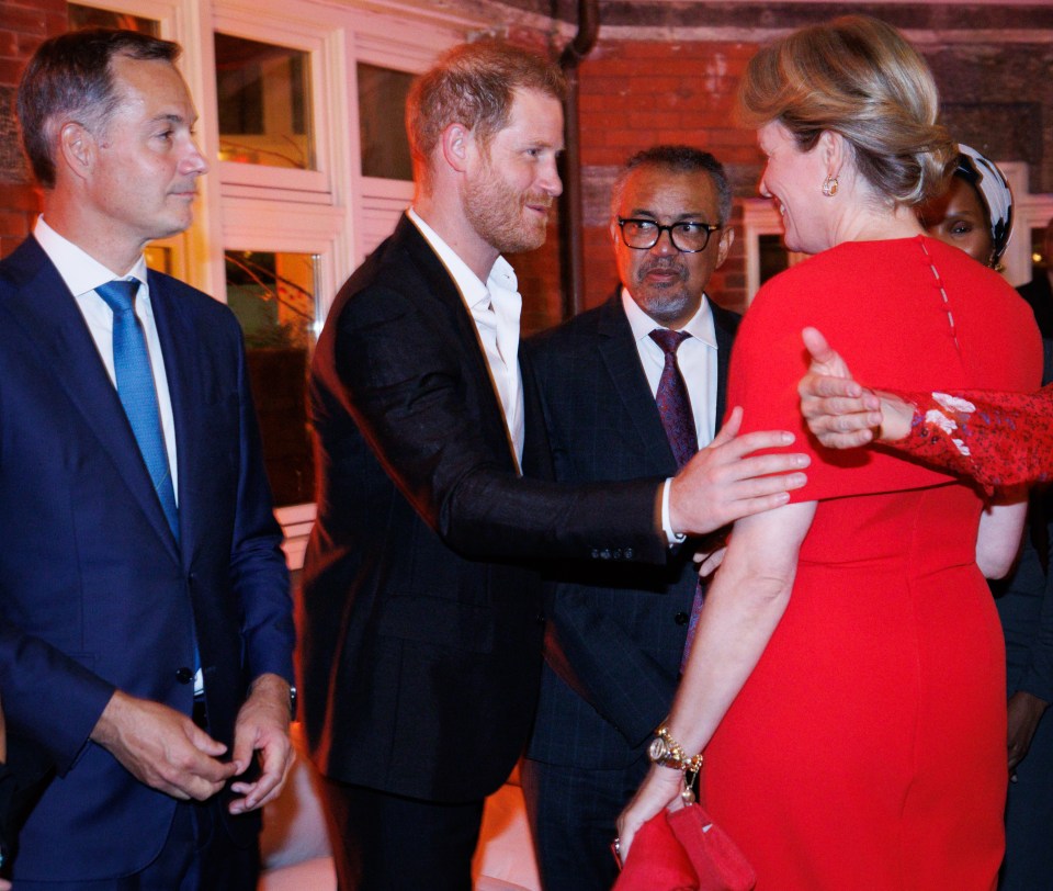 Prince Harry greeted Queen Mathilde of Belgium in New York City