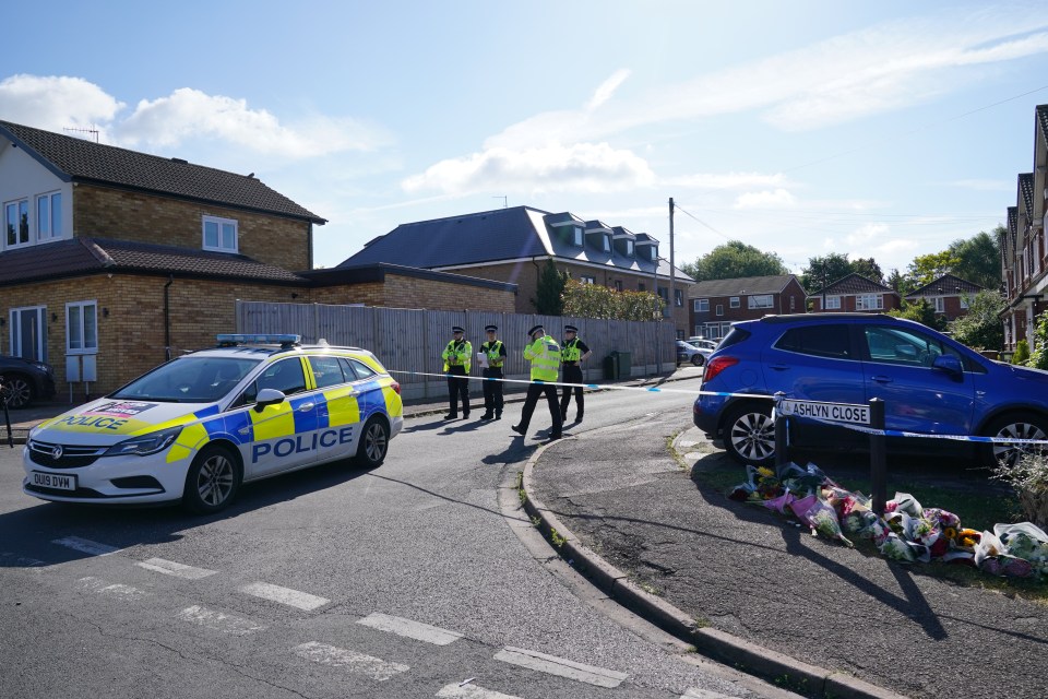 a police car is parked on the side of the road