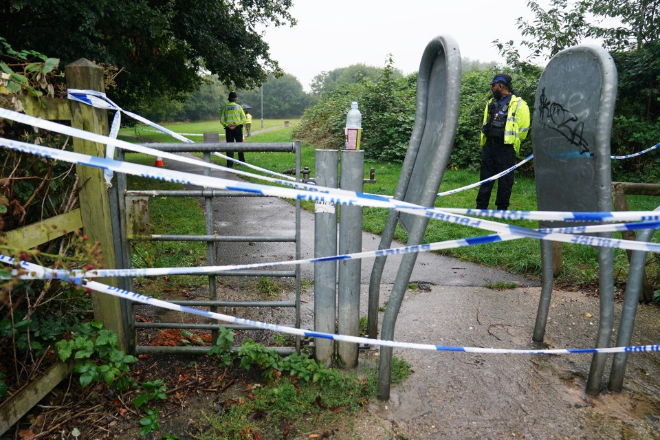 Cops have released four of five youths arrested without further action