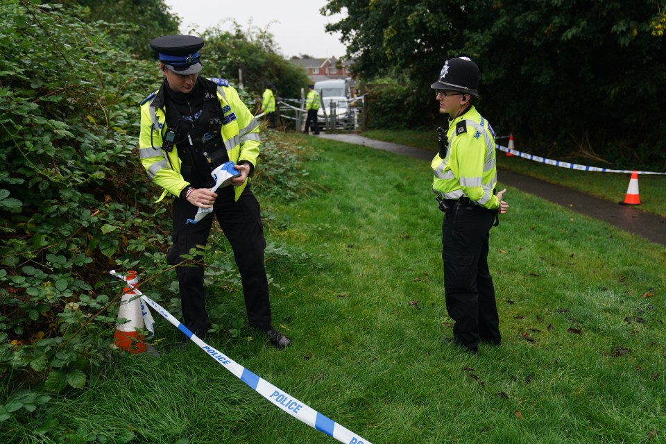 The pensioner had reportedly complained to police previously about anti-social behaviour in the area