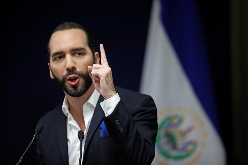 President of El Salvador Nayib Bukele (pictured in 2019) shared a message on X following the crash