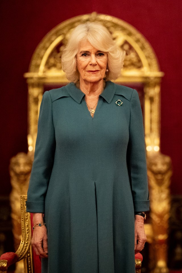 a woman in a blue dress stands in front of a gold throne