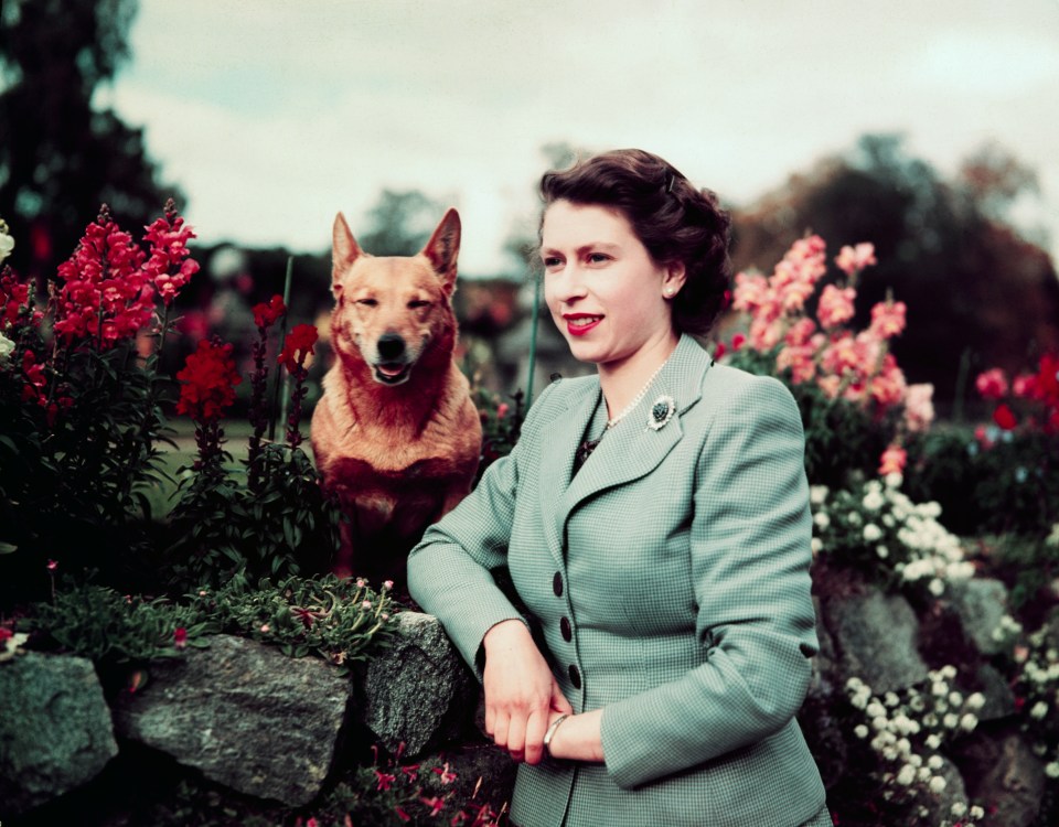 a woman in a suit stands next to a dog in a garden