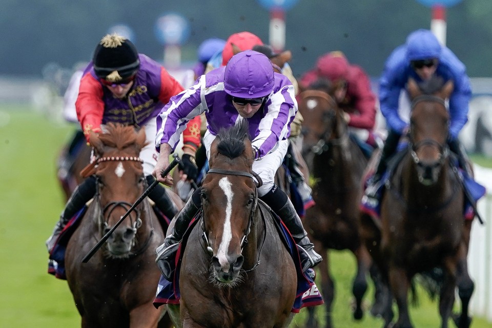 The St Leger is the last Classic of the season and Templegate has delved into the field for Members Enclosure readers