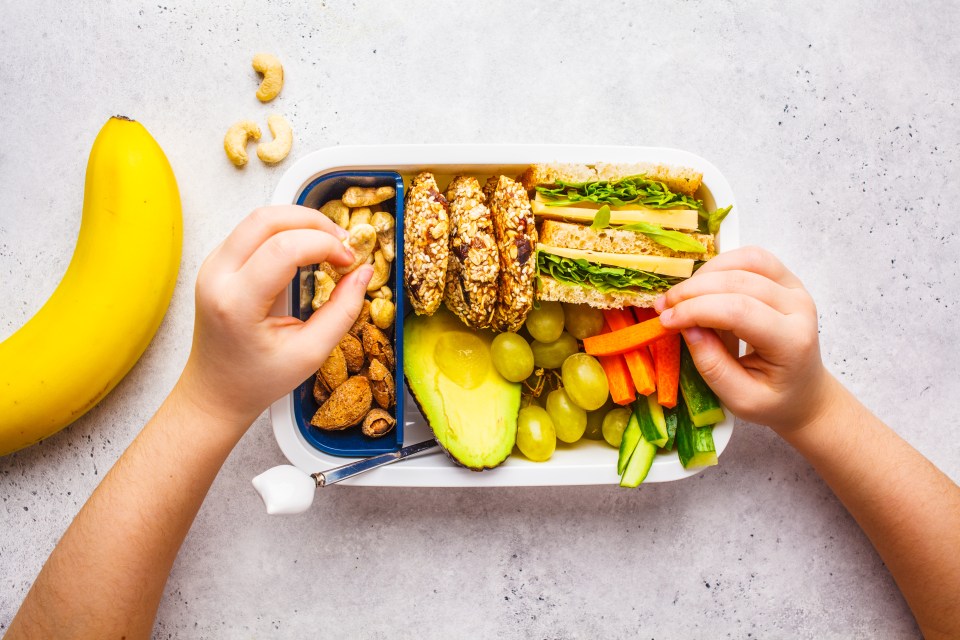 Some lunchbox foods may spoil easily is if not kept cool