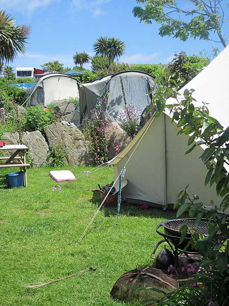 Expect fresh eggs and croissants at the campsite too