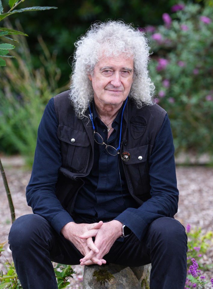 Sir Brian May has revealed he suffered a minor stroke