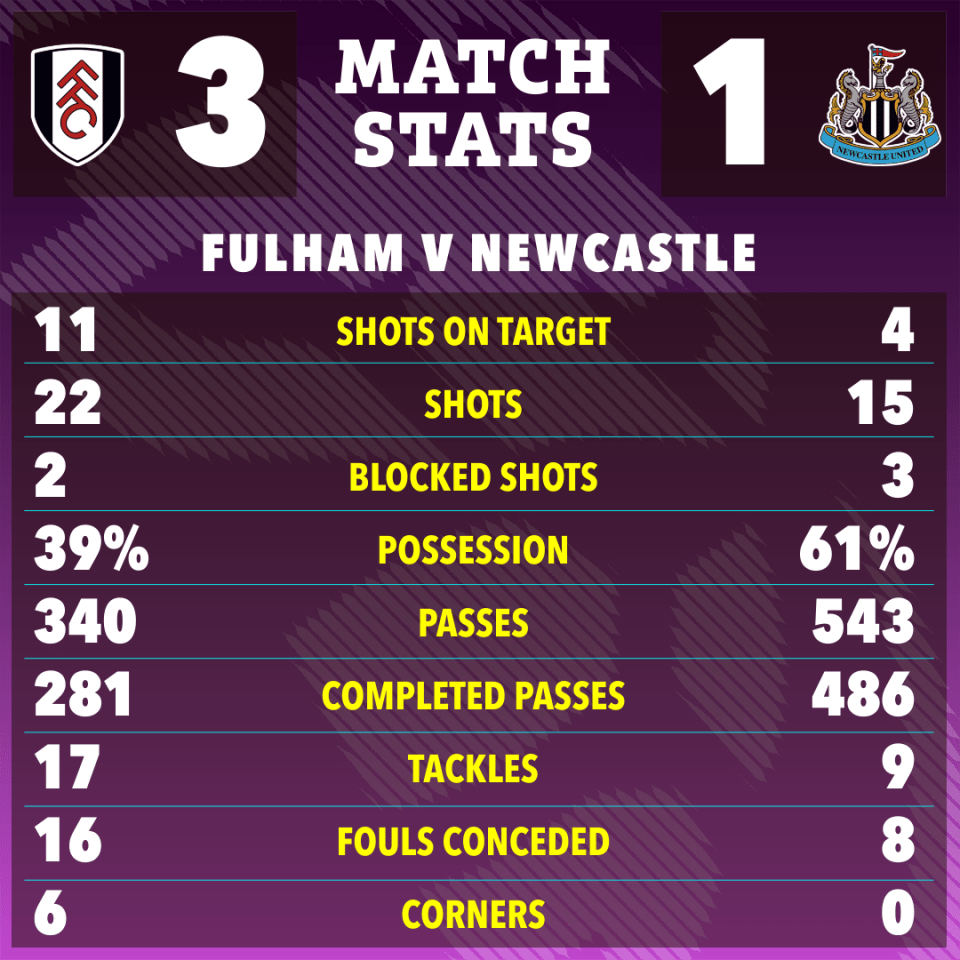 Fulham impressed against Newcastle in a tough Premier League match