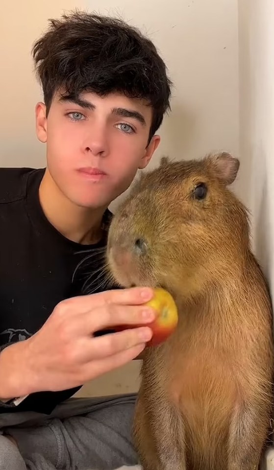 TikTok star Kyle Thomas with his capybara, who sadly died