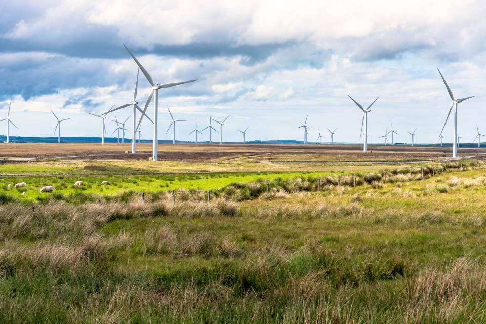 Miliband plans to have 100 per cent clean electricity by 2030 and wants to do this by increasing our reliance on renewable energy such as wind