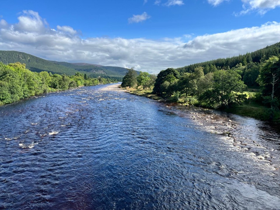 a river surrounded by trees and mountains on a sunny day