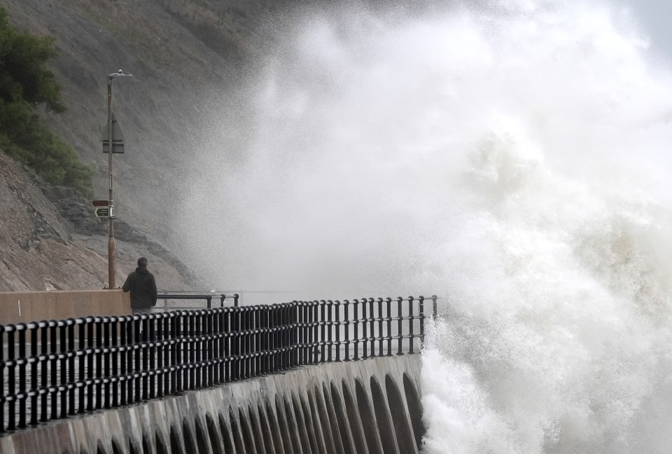 a man stands on a fence watching waves crashing on the shore