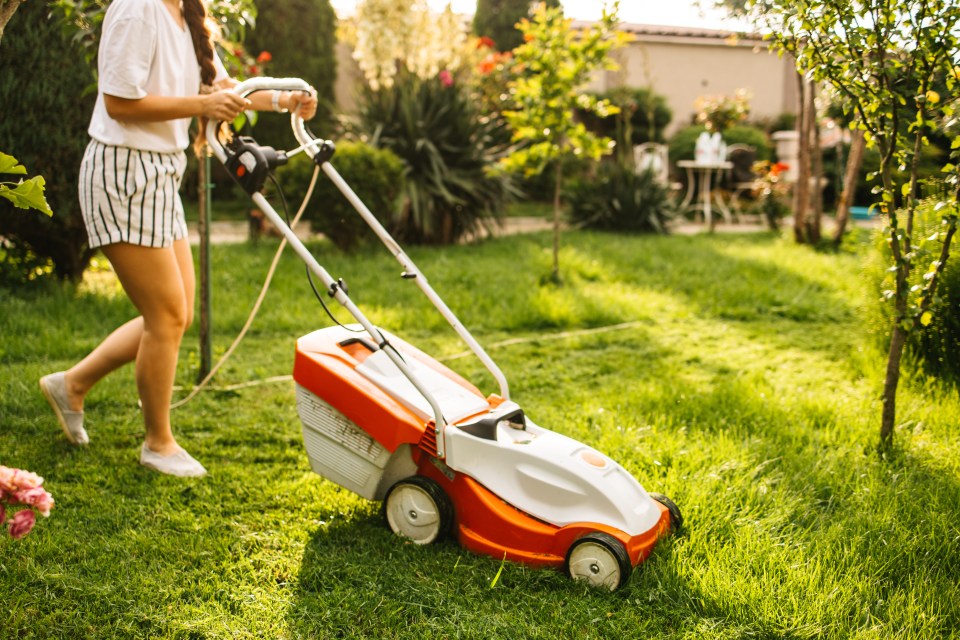 The gardening pro shared three easy jobs to complete to keep your grass looking its best