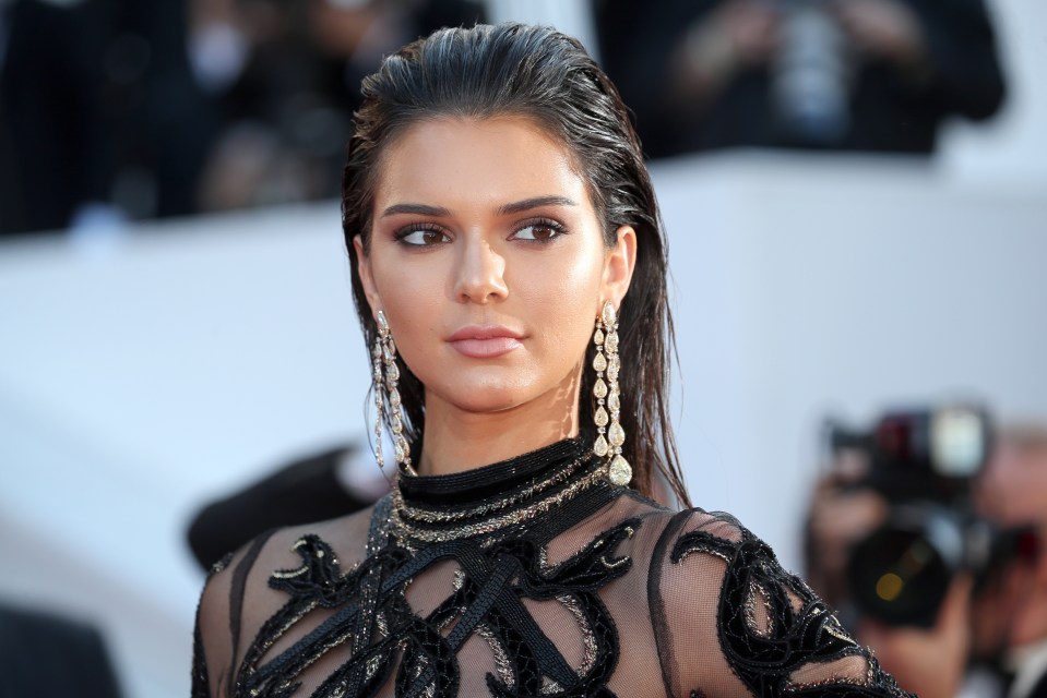 Kendall Jenner has ditched her natural locks for a chic blonde bob