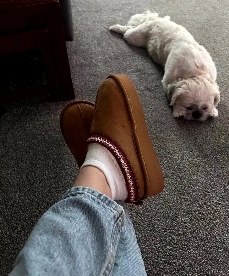 a small white dog laying on the floor next to a person wearing slippers