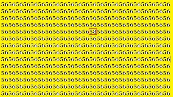 a bunch of numbers are lined up in a row on a white background .