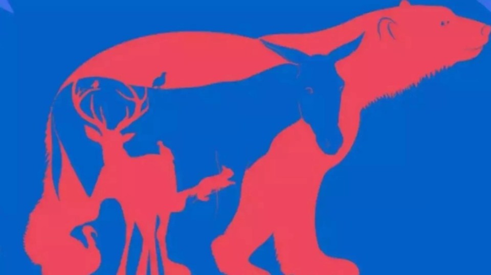 a silhouette of a bear , deer , horse and fox on a blue background .