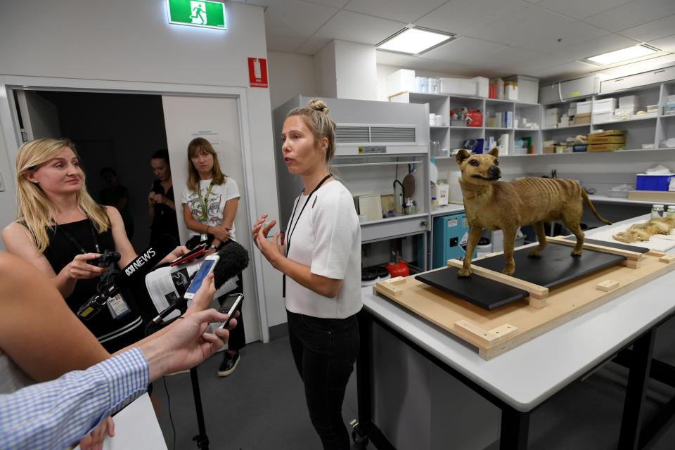 Research Associate Dr Christy Hipsley from Melbourne Museum