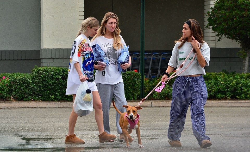 The American actress carried pet supplies as she left