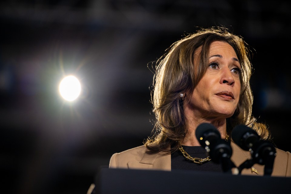 a woman stands at a podium with microphones and a light behind her