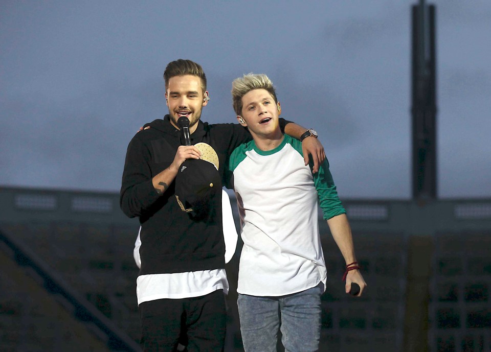 Liam had travelled to Argentina for Niall Horan's tour