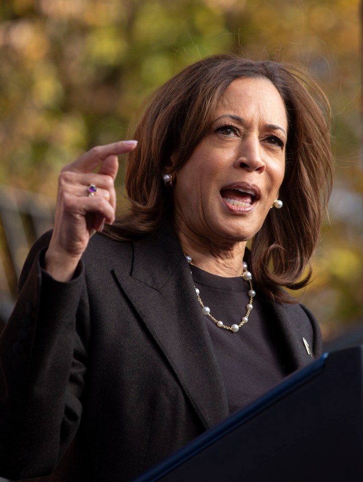 Kamala Harris is hoping to become America's first female President