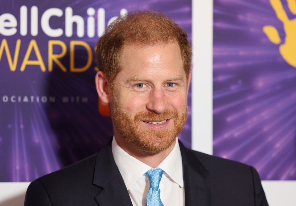 The dad-of-two then attended the Wellchild Awards 2024 at the Royal Lancaster Hotel on September 30 without Meghan