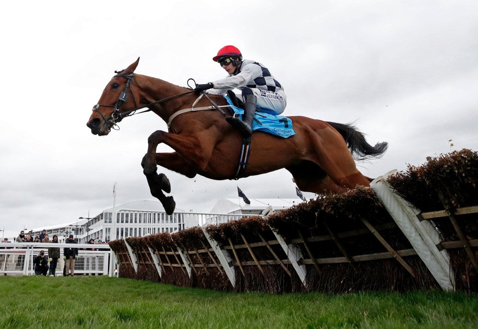 a jockey on a brown horse jumping over a fence