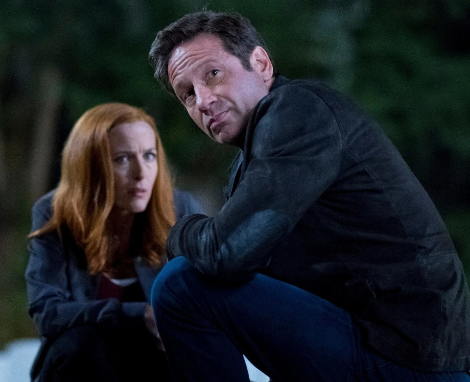 Gillian Anderson, seen with X-Files co-star David Duchovny has revealed a huge TV star turned down her role first