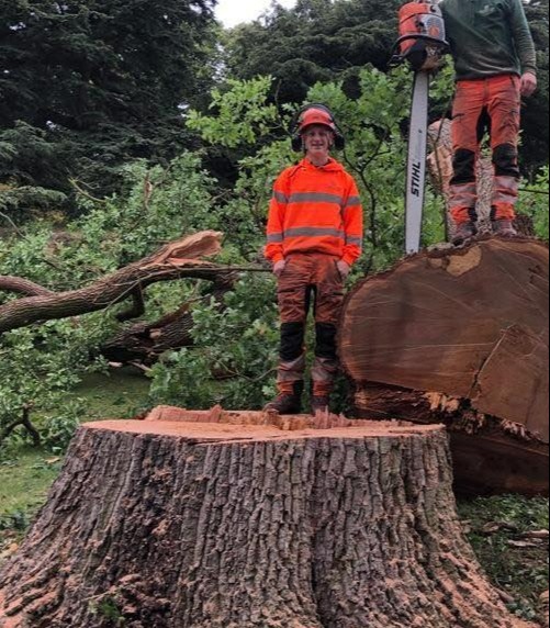 a stihl chainsaw is being used to cut a tree stump