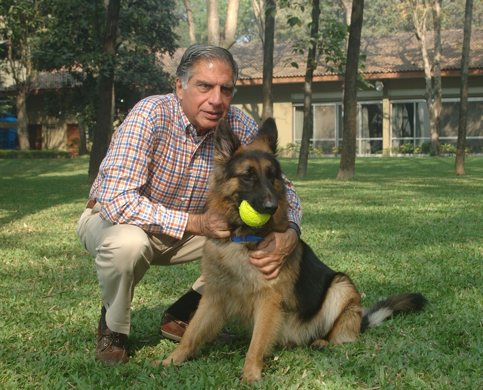 a man kneeling next to a german shepherd holding a tennis ball