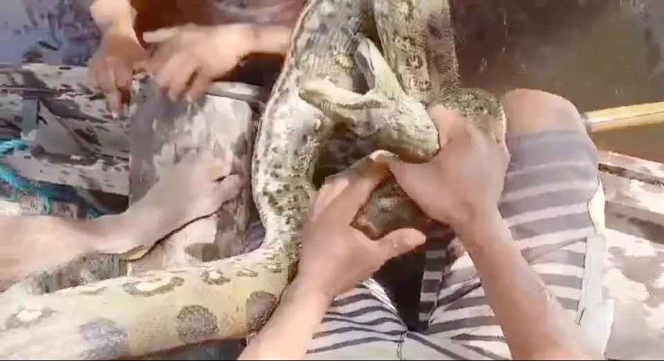 a man is holding a large snake in his hands .