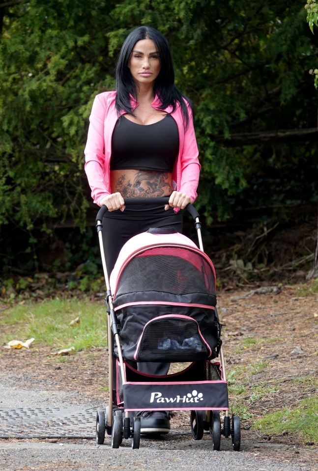 She was previously seen taking her animals out in a pram