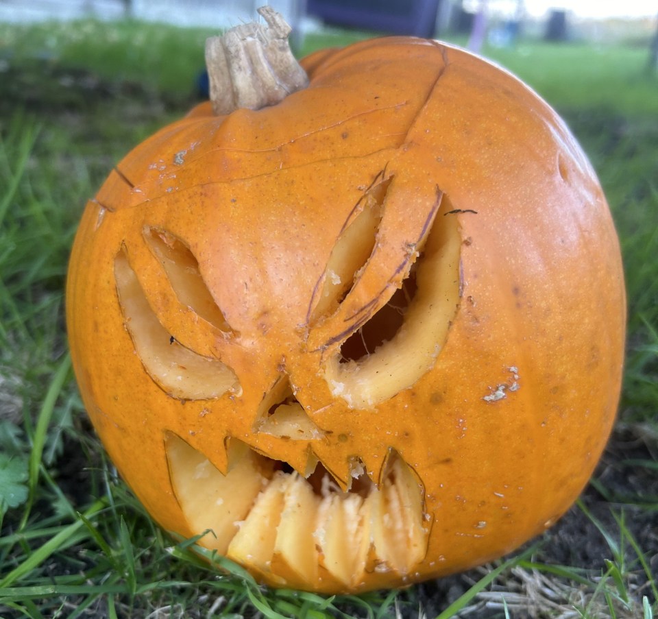 For Lucas' pumpkin, we decided to try and keep it in the shade - as it's meant to slow down the decaying if not exposed to the natural elements