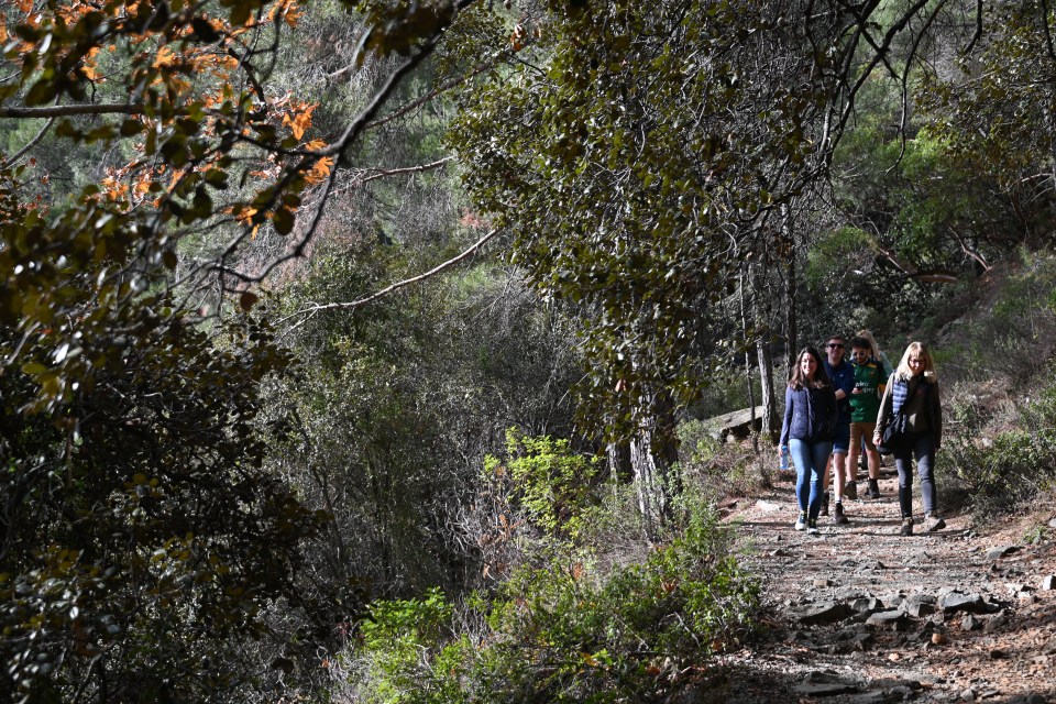 a group of people walking down a path in the woods