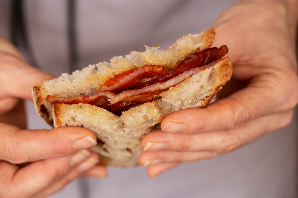 a person is holding a sandwich with bacon on it