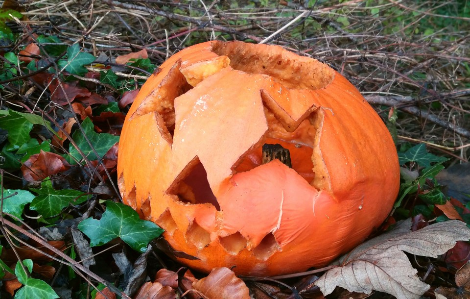 You can't give your pumpkin to certain animals