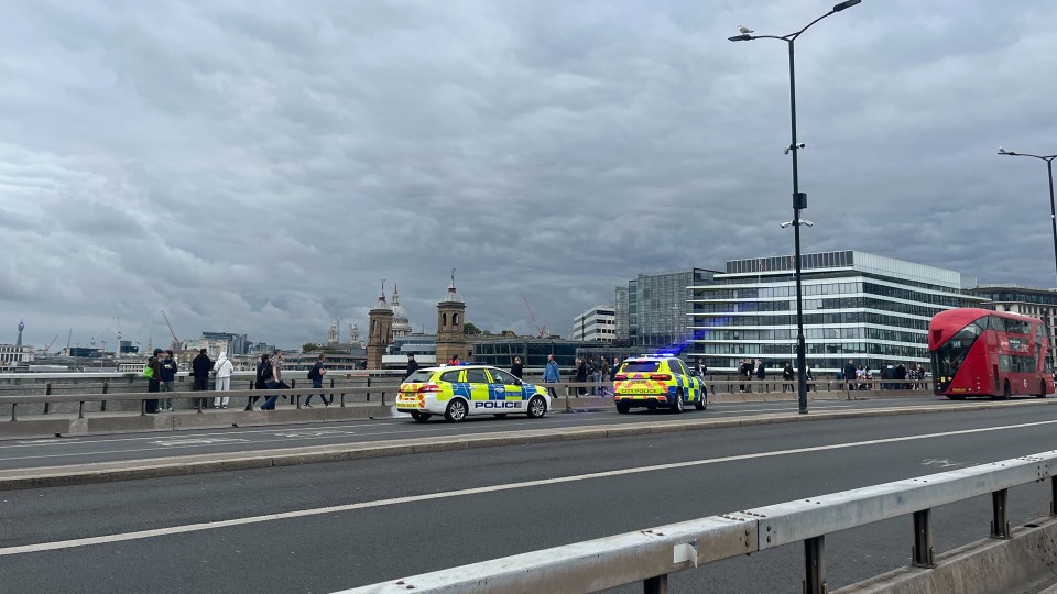 two police cars are parked on the side of the road