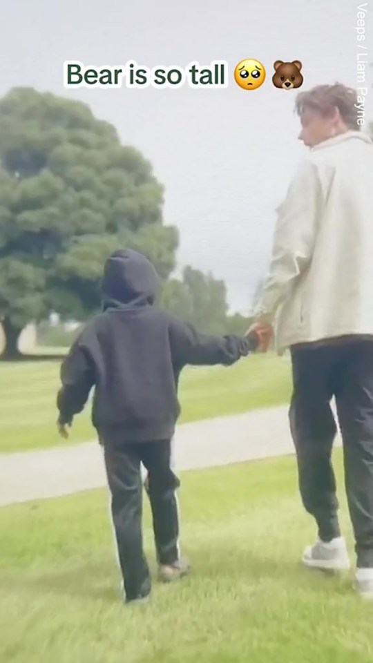 Liam Payne and son Bear. Screen grab taekn from video