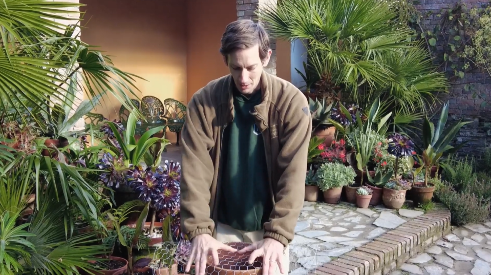 Chris demonstrating how to use chicken wire to cover your plant pot