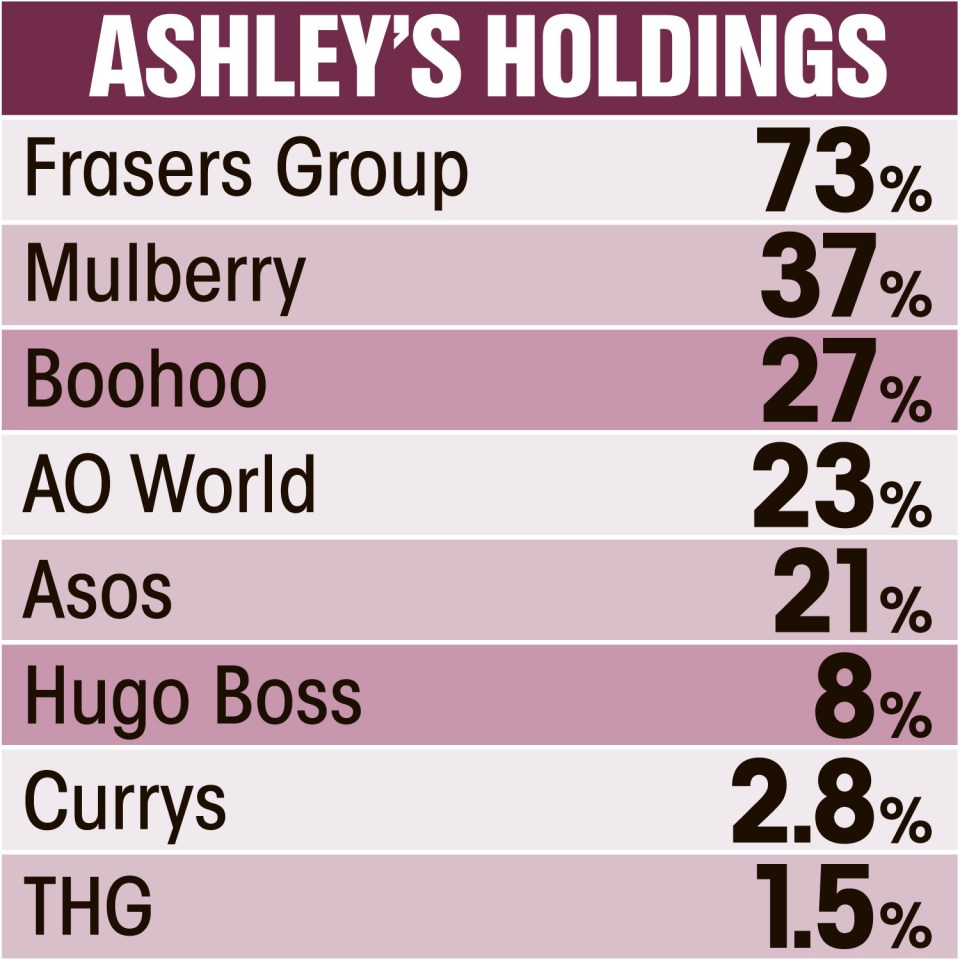 Mike Ashley's current holdings, following his Mulberry bid