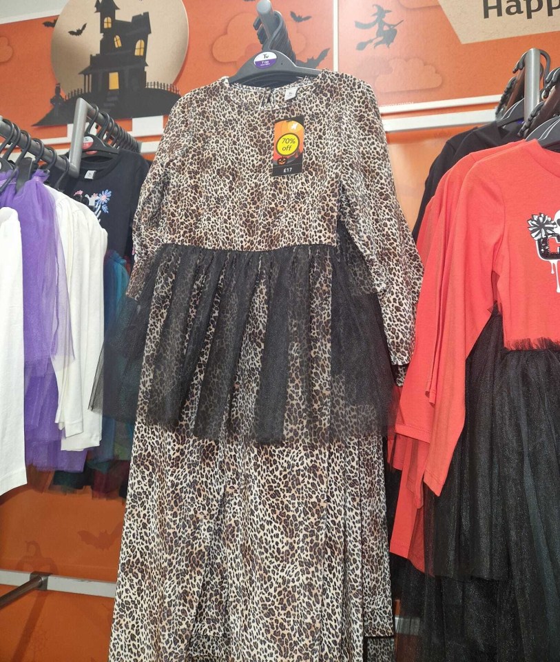 a leopard print dress is on display in a store