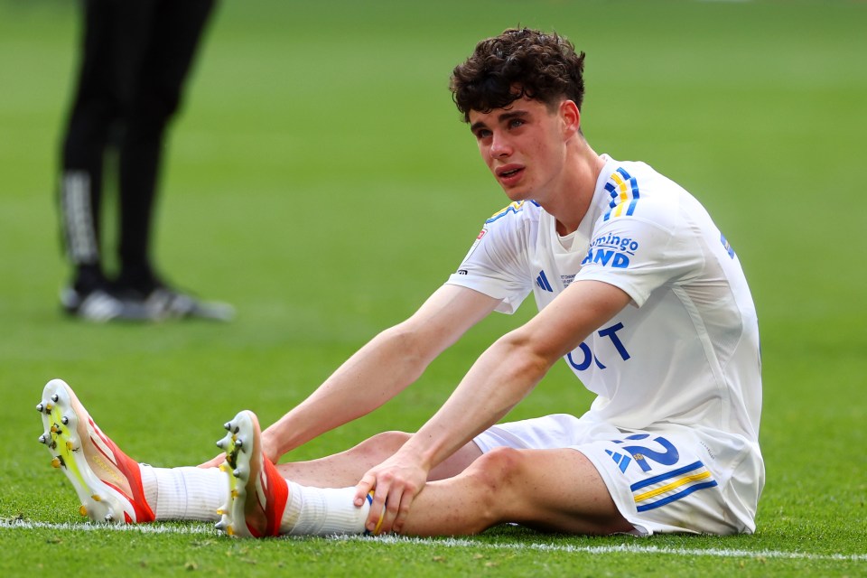 He was left gutted as his boyhood club lost the play-off final